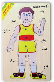 التركيبات التعليمية لأقسام الجسم ذكر عربي