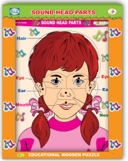 أقسام الرأس الصوتية وجه أنثى إنكليزي