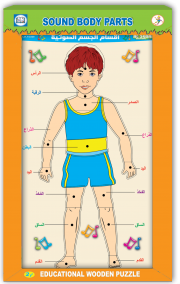 أقسام الجسم الصوتية جسم ولد عربي