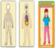 وحدة أعضاء الجسم جسم ـ أعضاء داخلية ـ هيكل عظمي 